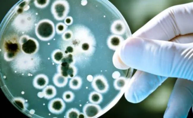 Microbiology Testing